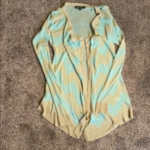 Mint and tan cardigan